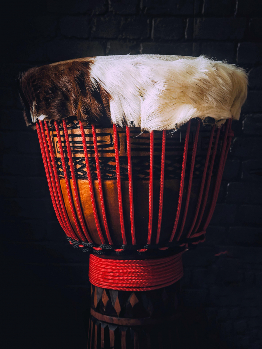 Djembe Mahagoni Professional XL - Petrovič Drums