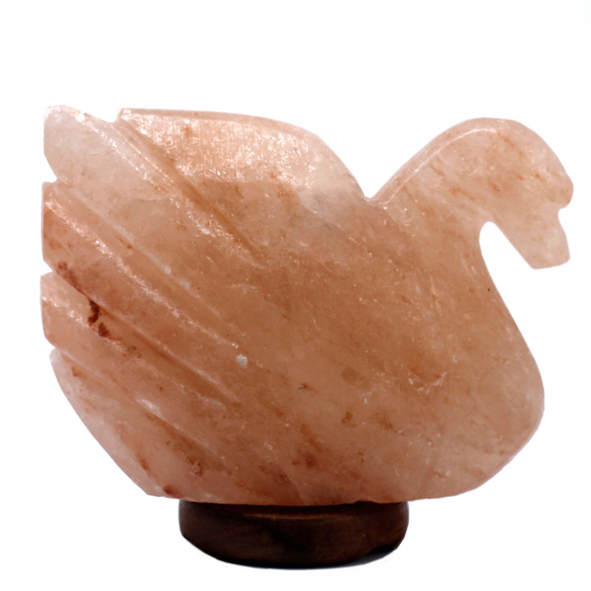 Himalaya Salzlampe Schwan