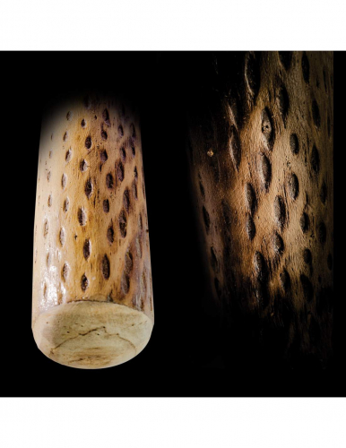 Regenmacher aus Kaktus, Länge 150 cm, Durchmesser 6-8 cm