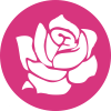 Damaszener Rose