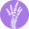 Lavendel